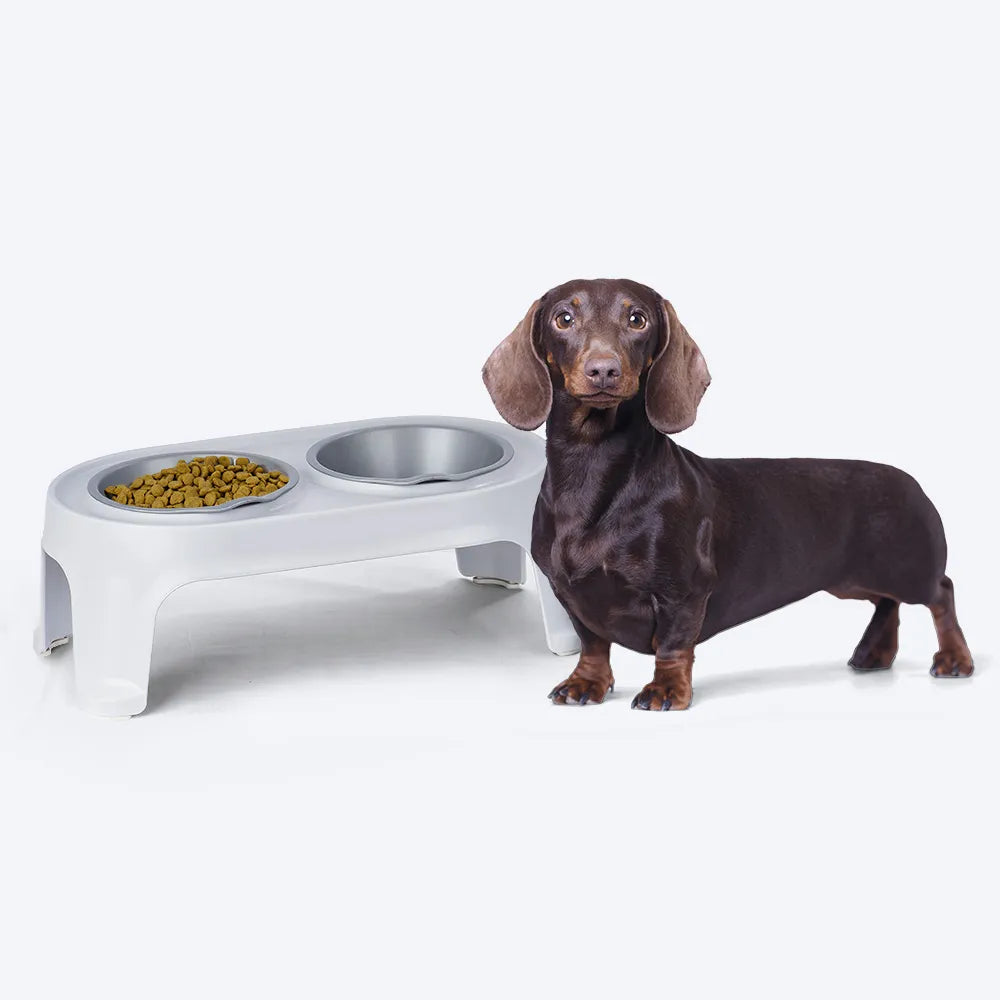 Comedero alto para mascotas Small de Rimax - Cómodo y saludable - Pa´la house