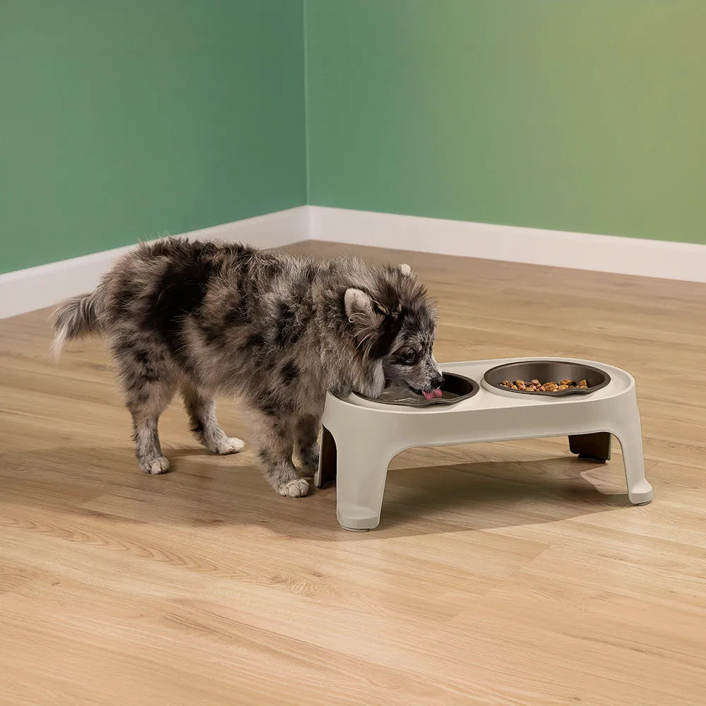 Comedero alto para mascotas Small de Rimax - Cómodo y saludable - Pa´la house