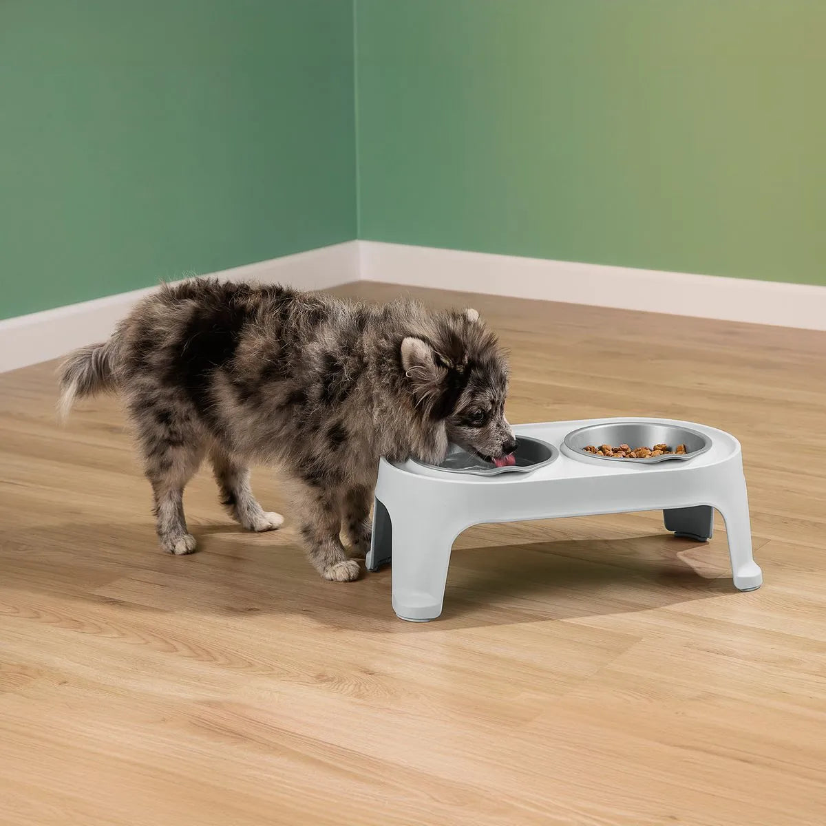 Comedero alto para mascotas Small de Rimax - Cómodo y saludable - Pa´la house