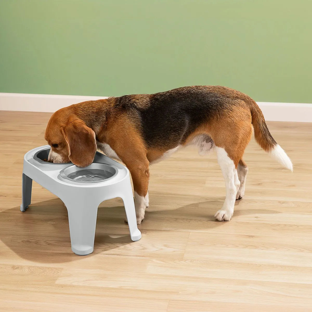 Comedero alto para mascotas Medium de Rimax - Pa´la house