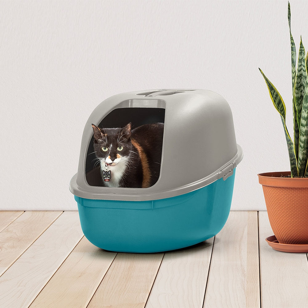 Arenero para Gato Rimax Azul/Gris – Práctico e Higiénico - Pa´la house