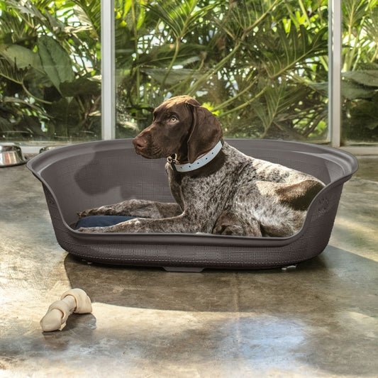 Cama para perros.