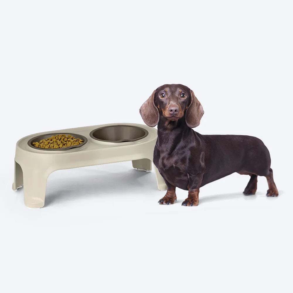 Comedero alto para mascotas Small de Rimax - Cómodo y saludable - Pa´la house