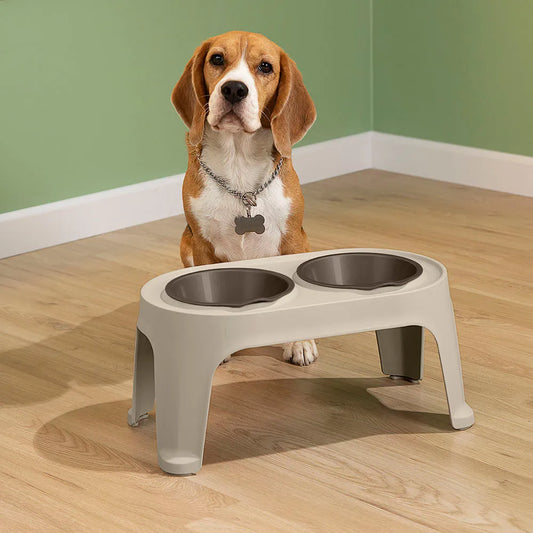Comedero alto para mascotas Medium de Rimax